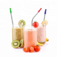 MARCH EXPO Food Grade Stainless Steel Angled Straws with Silicone Tips